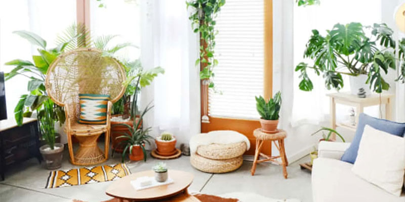 15 Fragrant Indoor Plants That Will Fill Your House With A Fantastic Scent